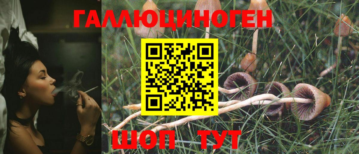Псилоцибиновые грибы Cubensis Петровск