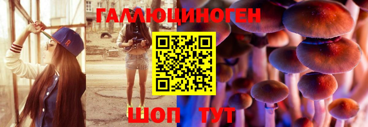Петровск  Псилоцибиновые грибы Cubensis  Вход с VPN  Псилоцибиновые грибы мухоморы 