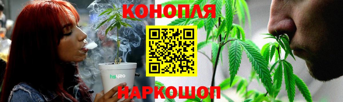 Каннабис Bruce Banner  Канабис Bruce Banner  Петровск  Канабис план  Вход с VPN 